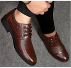 Oxford Legend Men's Leather Shoes