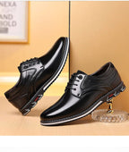 Vitorini Leather Oxford Shoes